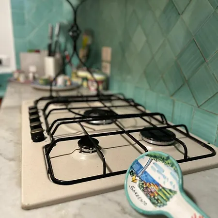 Vie En Rose Villa Sorrento