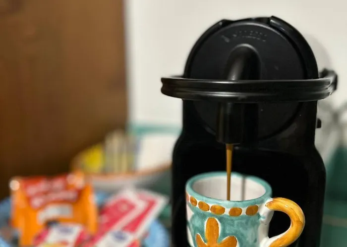 Vie En Rose סורנטו