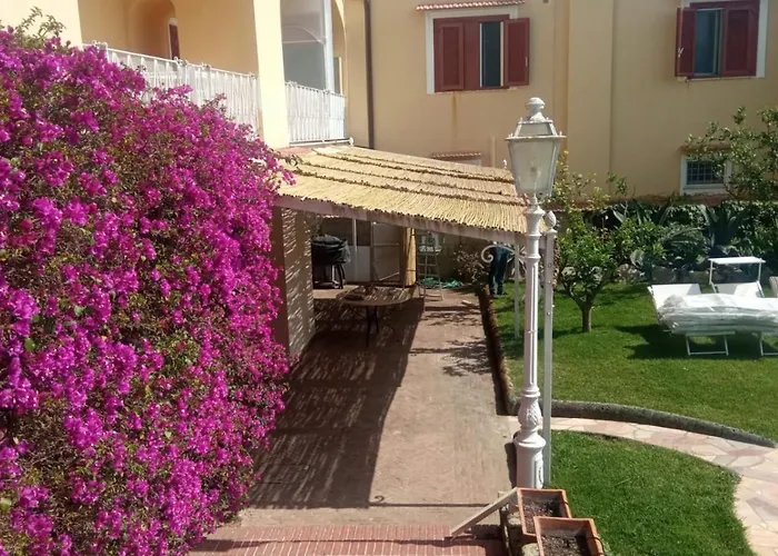 Vie En Rose סורנטו