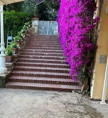 فيلة Vie En Rose